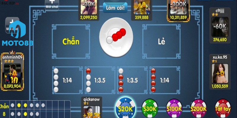 Các Cấp Độ Và Mức Cược Trong Game