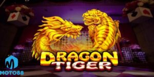 Lưu Ý Cuối Cùng Dành Cho Người Chơi Mới